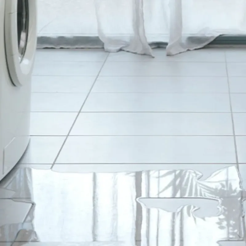 Appliance Leak Cleanup in Goddard, MD