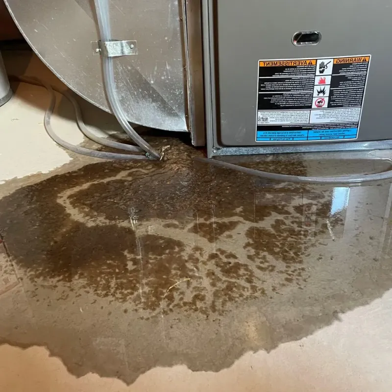 Pipe Burst and Leak Restoration in Goddard, MD